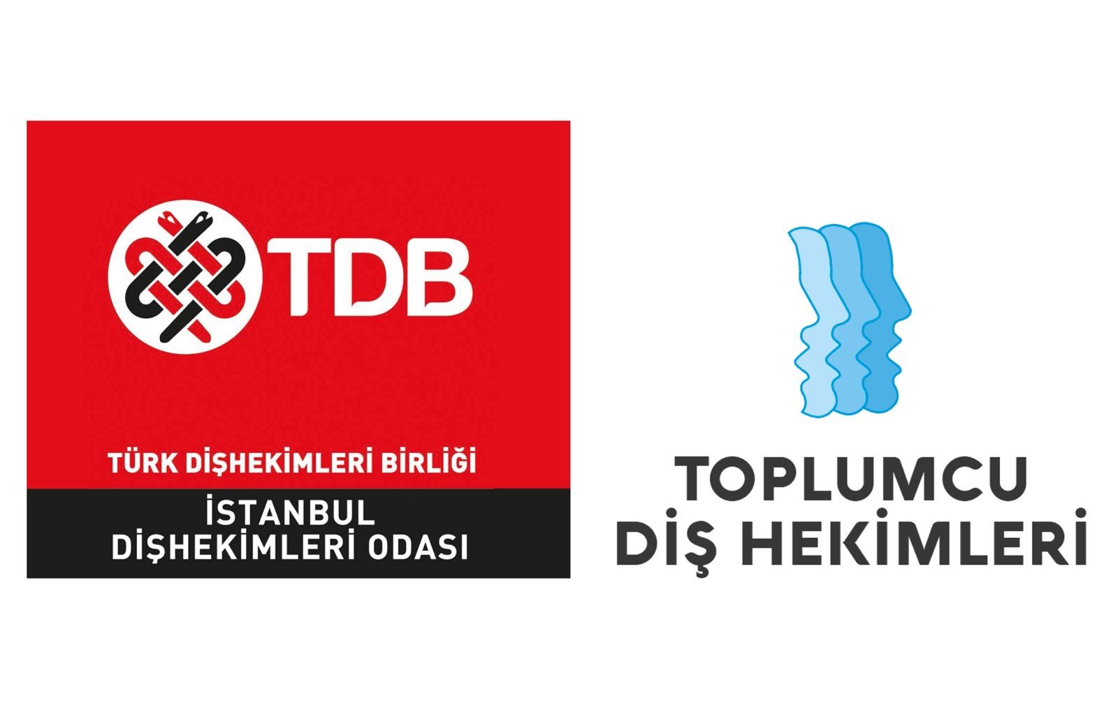 İstanbul Dişhekimleri Odası seçiminde toplumcu liste