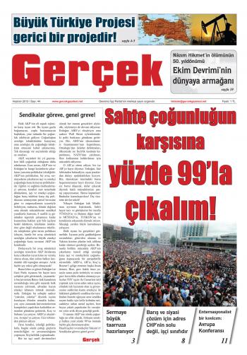 Gerçek Sayı 44 - Haziran 2013