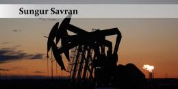 İklim değişikliği (4): Liderler ve şirketler